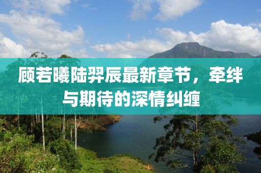 顾若曦陆羿辰最新章节，牵绊与期待的深情纠缠