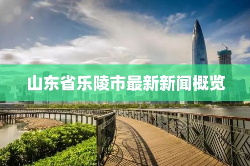 山东省乐陵市最新新闻概览