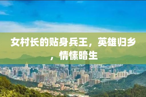 女村长的贴身兵王，英雄归乡，情愫暗生