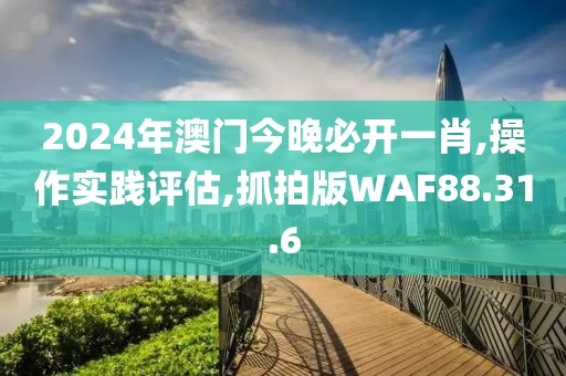 2024年澳门今晚必开一肖,操作实践评估,抓拍版WAF88.31.6