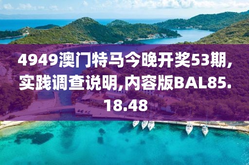 4949澳门特马今晚开奖53期,实践调查说明,内容版BAL85.18.48