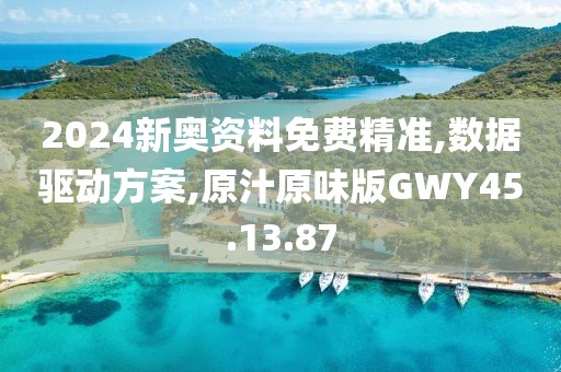 2024新奥资料免费精准,数据驱动方案,原汁原味版GWY45.13.87