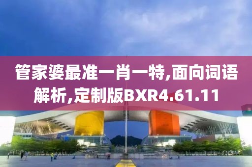 管家婆最准一肖一特,面向词语解析,定制版BXR4.61.11