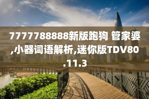 7777788888新版跑狗 管家婆,小器词语解析,迷你版TDV80.11.3