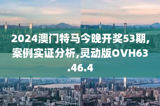 2024澳门特马今晚开奖53期,案例实证分析,灵动版OVH63.46.4