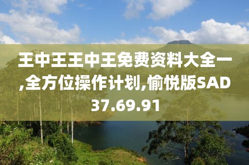 王中王王中王免费资料大全一,全方位操作计划,愉悦版SAD37.69.91