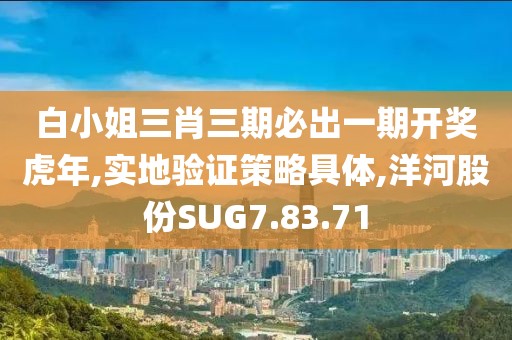 白小姐三肖三期必出一期开奖虎年,实地验证策略具体,洋河股份SUG7.83.71