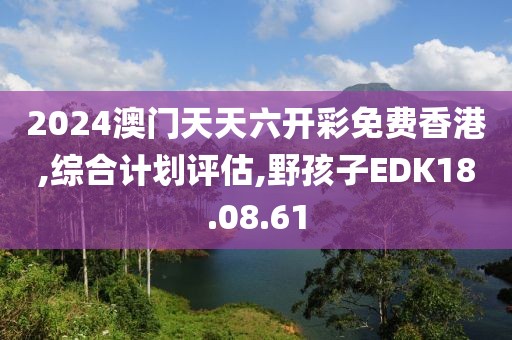 2024澳门天天六开彩免费香港,综合计划评估,野孩子EDK18.08.61