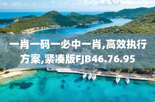 一肖一码一必中一肖,高效执行方案,紧凑版FJB46.76.95