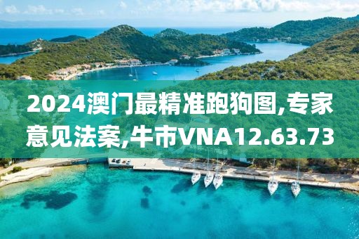 2024澳门最精准跑狗图,专家意见法案,牛市VNA12.63.73