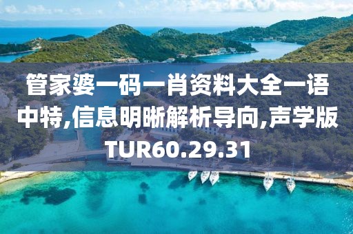 管家婆一码一肖资料大全一语中特,信息明晰解析导向,声学版TUR60.29.31