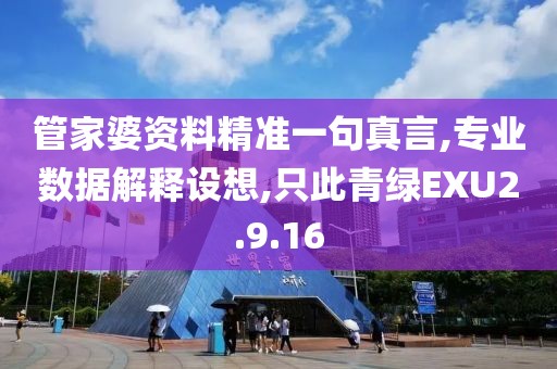 管家婆资料精准一句真言,专业数据解释设想,只此青绿EXU2.9.16