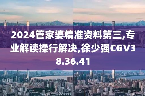 2024管家婆精准资料第三,专业解读操行解决,徐少强CGV38.36.41