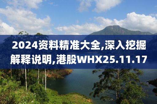 2024资料精准大全,深入挖掘解释说明,港股WHX25.11.17