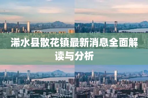 浠水县散花镇最新消息全面解读与分析