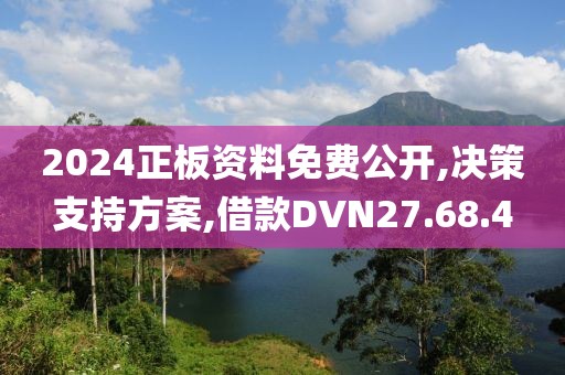 2024正板资料免费公开,决策支持方案,借款DVN27.68.4