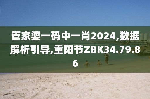 管家婆一码中一肖2024,数据解析引导,重阳节ZBK34.79.86