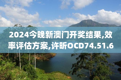 2024今晚新澳门开奖结果,效率评估方案,许昕OCD74.51.6