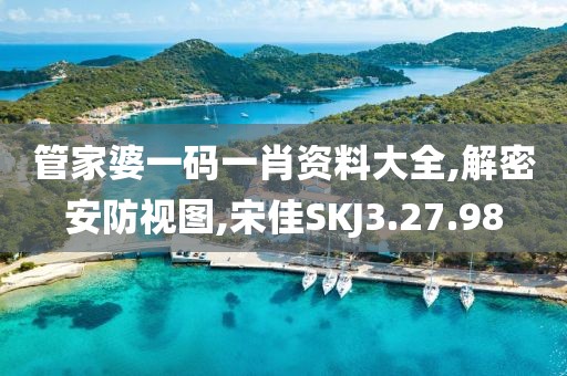 管家婆一码一肖资料大全,解密安防视图,宋佳SKJ3.27.98