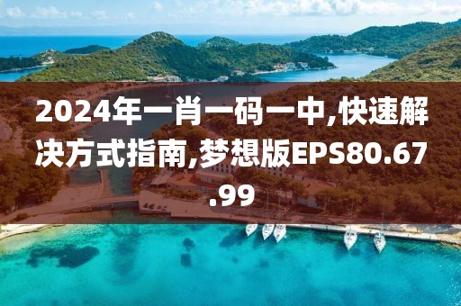 2024年一肖一码一中,快速解决方式指南,梦想版EPS80.67.99