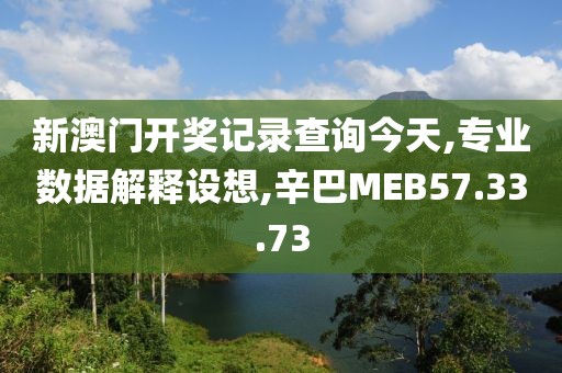 新澳门开奖记录查询今天,专业数据解释设想,辛巴MEB57.33.73