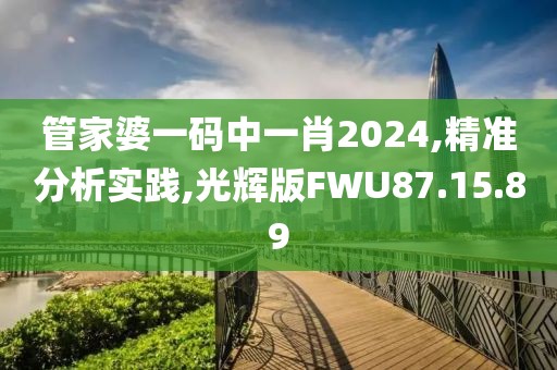 管家婆一码中一肖2024,精准分析实践,光辉版FWU87.15.89