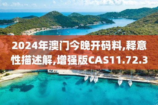 2024年澳门今晚开码料,释意性描述解,增强版CAS11.72.30
