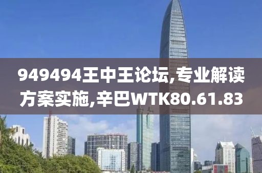 949494王中王论坛,专业解读方案实施,辛巴WTK80.61.83