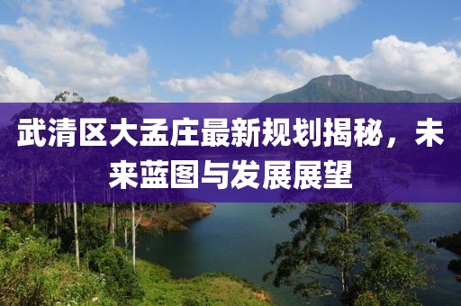 武清区大孟庄最新规划揭秘，未来蓝图与发展展望