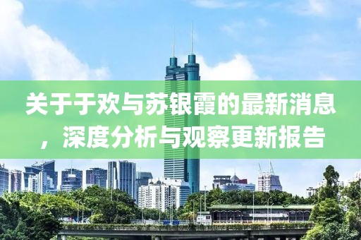 关于于欢与苏银霞的最新消息，深度分析与观察更新报告