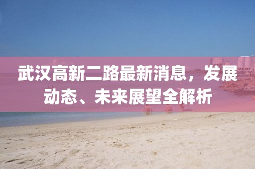 武汉高新二路最新消息，发展动态、未来展望全解析