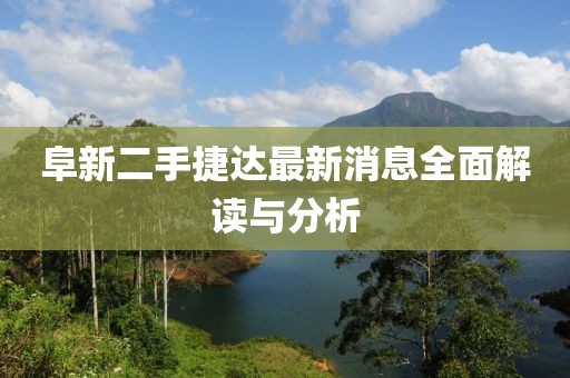 阜新二手捷达最新消息全面解读与分析