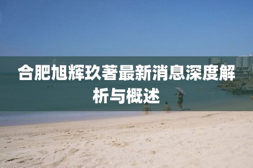 合肥旭辉玖著最新消息深度解析与概述