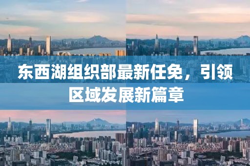 东西湖组织部最新任免，引领区域发展新篇章