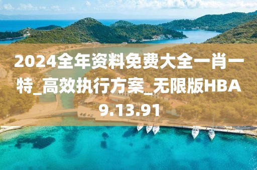 2024全年资料免费大全一肖一特_高效执行方案_无限版HBA9.13.91