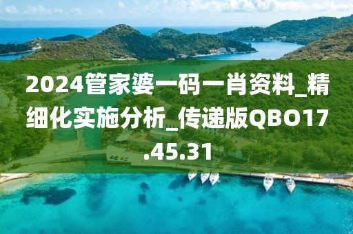 2024管家婆一码一肖资料_精细化实施分析_传递版QBO17.45.31