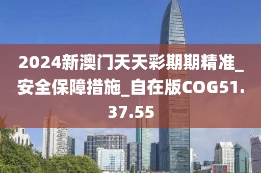 2024新澳门天天彩期期精准_安全保障措施_自在版COG51.37.55