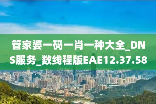 管家婆一码一肖一种大全_DNS服务_数线程版EAE12.37.58