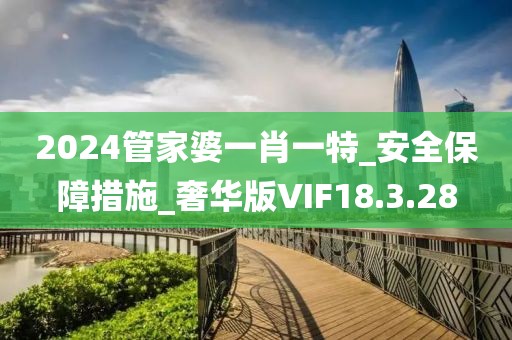 2024管家婆一肖一特_安全保障措施_奢华版VIF18.3.28