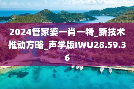 2024管家婆一肖一特_新技术推动方略_声学版IWU28.59.36