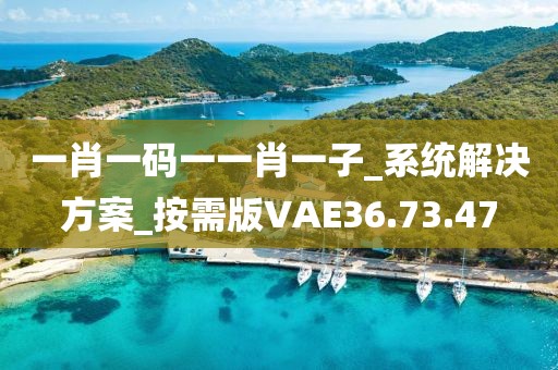 一肖一码一一肖一子_系统解决方案_按需版VAE36.73.47