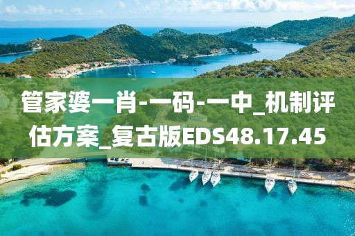 管家婆一肖-一码-一中_机制评估方案_复古版EDS48.17.45