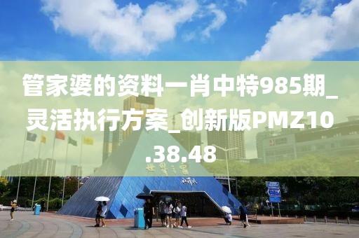 管家婆的资料一肖中特985期_灵活执行方案_创新版PMZ10.38.48