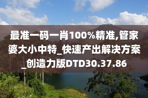 最准一码一肖100%精准,管家婆大小中特_快速产出解决方案_创造力版DTD30.37.86
