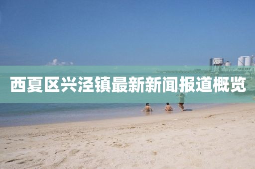 西夏区兴泾镇最新新闻报道概览