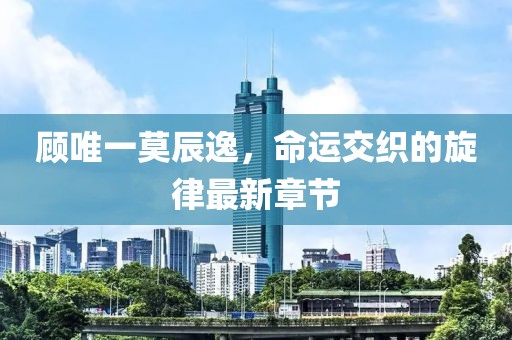 有灰机 第38页