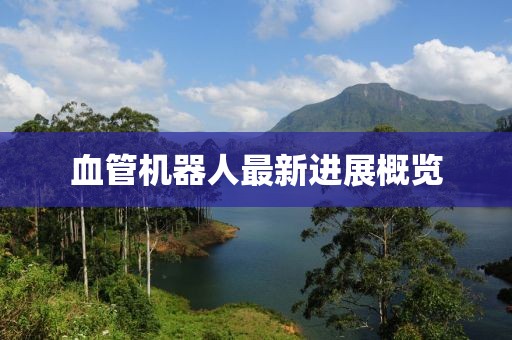 血管机器人最新进展概览
