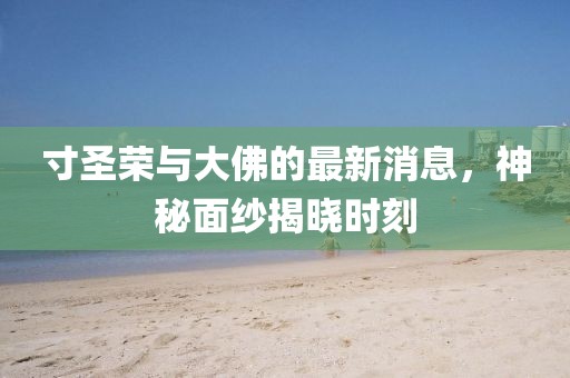 寸圣荣与大佛的最新消息，神秘面纱揭晓时刻