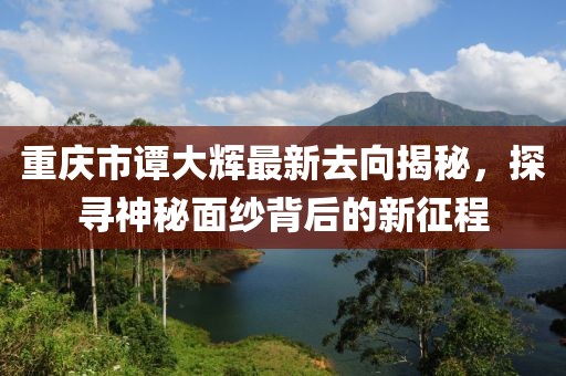 重庆市谭大辉最新去向揭秘，探寻神秘面纱背后的新征程