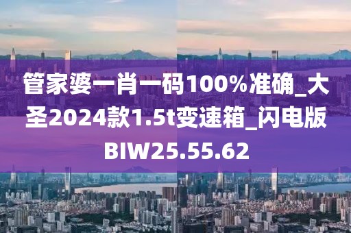管家婆一肖一码100%准确_大圣2024款1.5t变速箱_闪电版BIW25.55.62